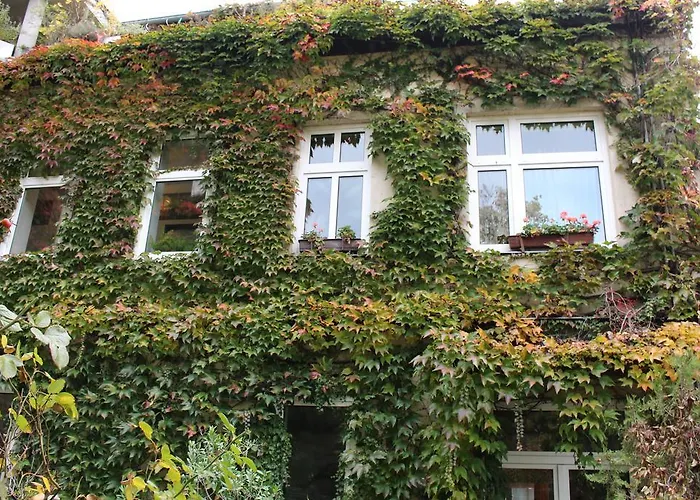 Hotel Wiener Kindl 3*